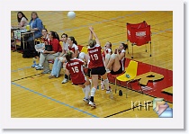 vs Hayden * (329 Slides)